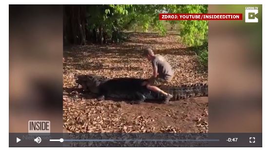 Turista riskoval život pro dobrou fotku.