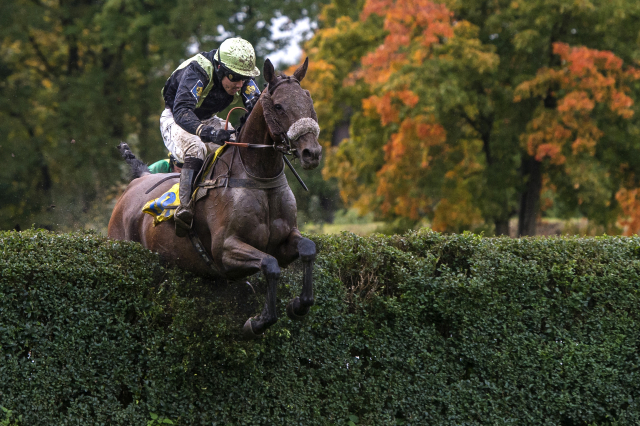 Velká pardubická.