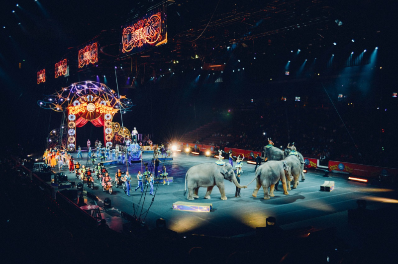Cirkus (ilustrační foto).