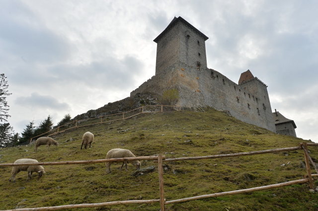 Hrad Kašperk.