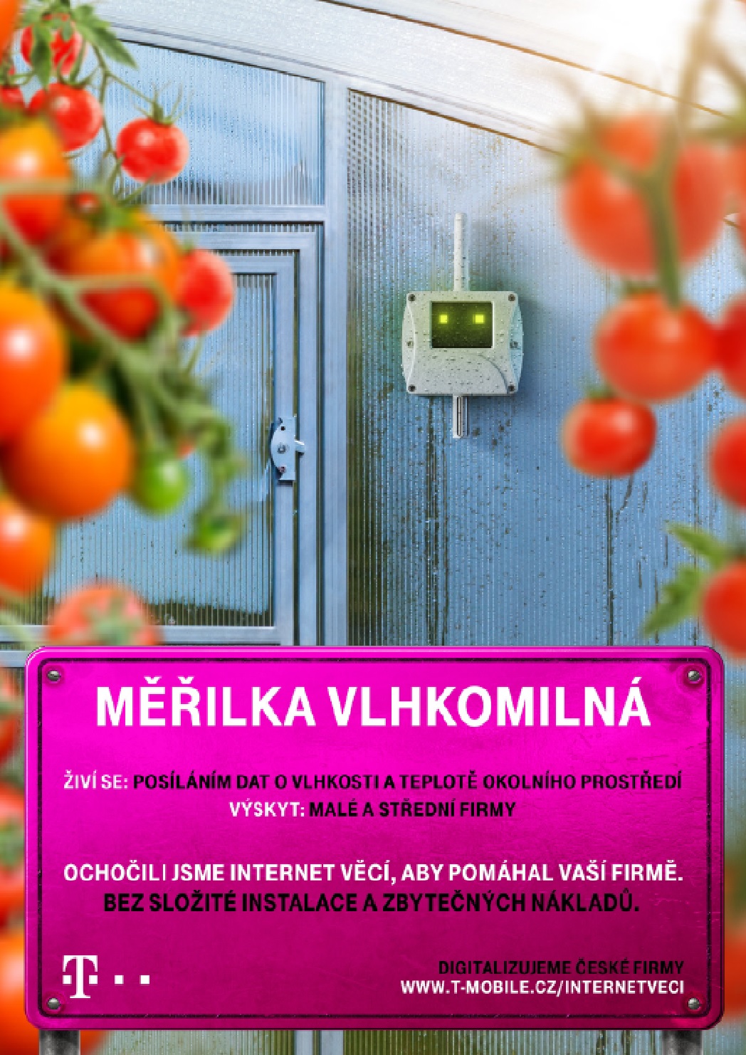 bez popisku 1078163