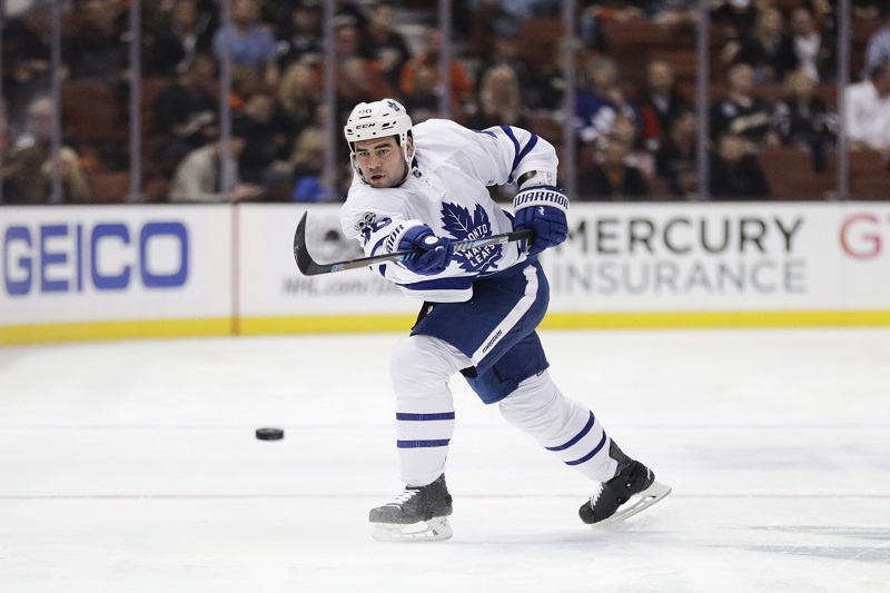 Během letní pauzy změnilo v zámořské NHL působiště celkem šest českých bruslařů.