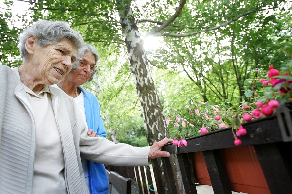 Mnoho starších lidí trápí zejména nevyléčitelná Alzheimerova choroba.