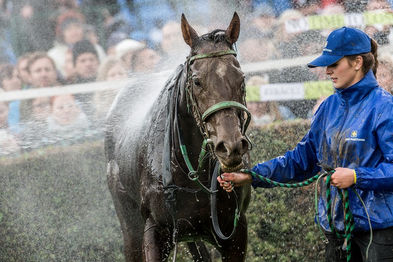 Velká pardubická se blíží. Obhájí No Time To Lose loňský triumf?