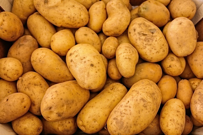 Ilustrační foto.