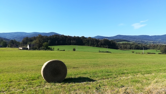 Ilustrační foto. Ilustrační foto.