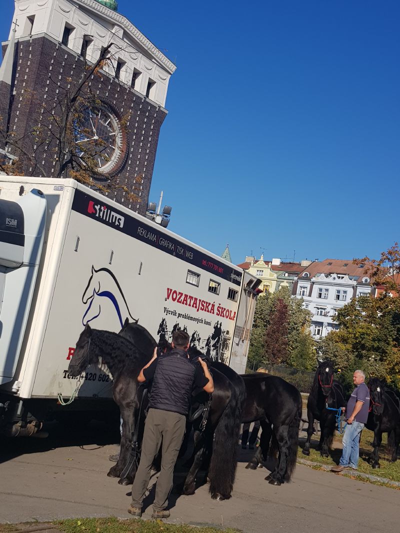 bez popisku 1083221