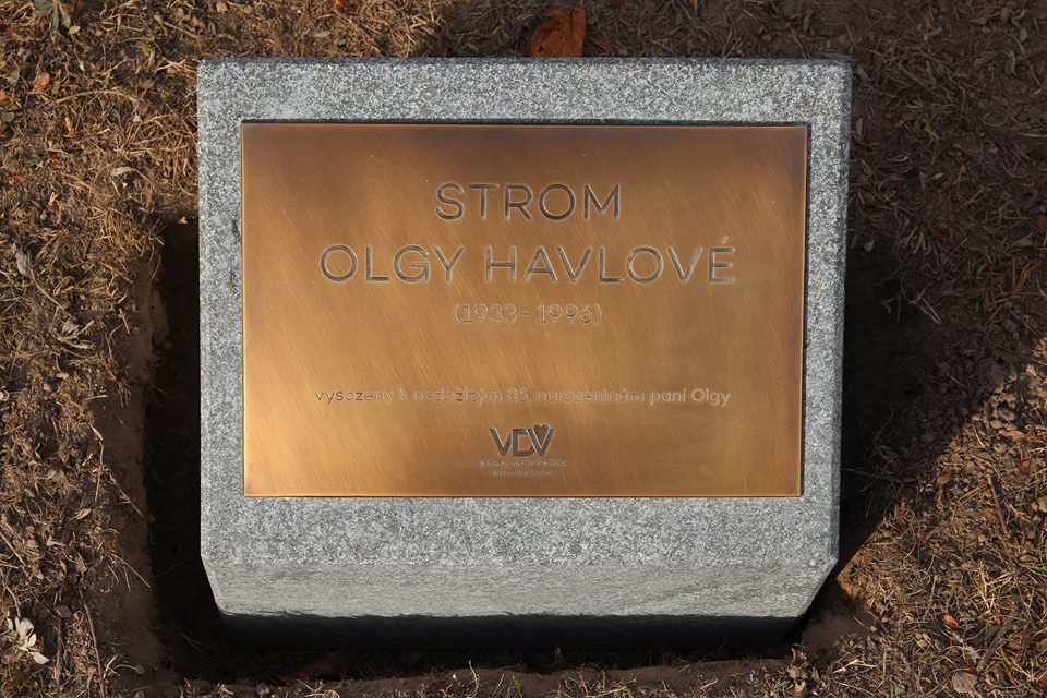 Strom na památku Olgy Havlové.