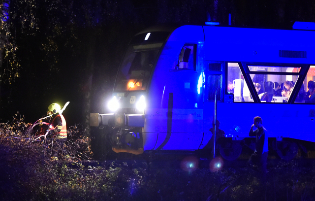 Hasiči odstraňují stromy, které spadly při silném větru 29. října 2018 večer na železniční trať nedaleko Třeště na Jihlavsku.
