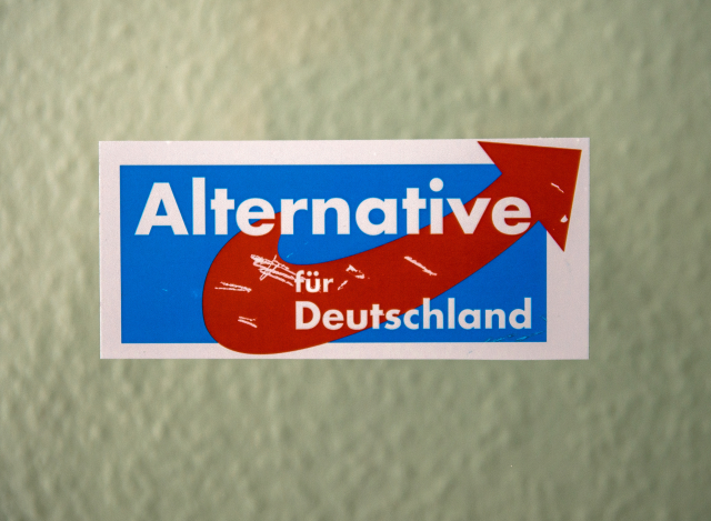 AfD (ilustrační foto).