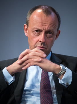 Bývalý šéf poslanců CDU/CSU Friedrich Merz.