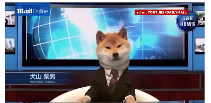 Pes v obleku je novou moderátorskou hvězdou v Japonsku.