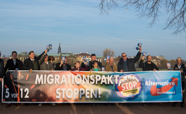 Podporovatelé AfD na demonstraci.