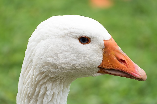 Ilustrační foto.