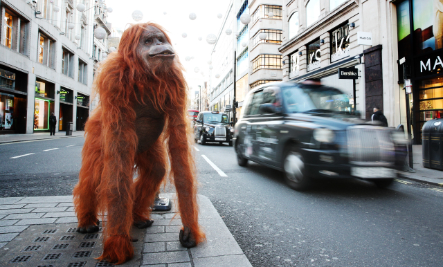 Robotický orangutan řetěze Iceland.