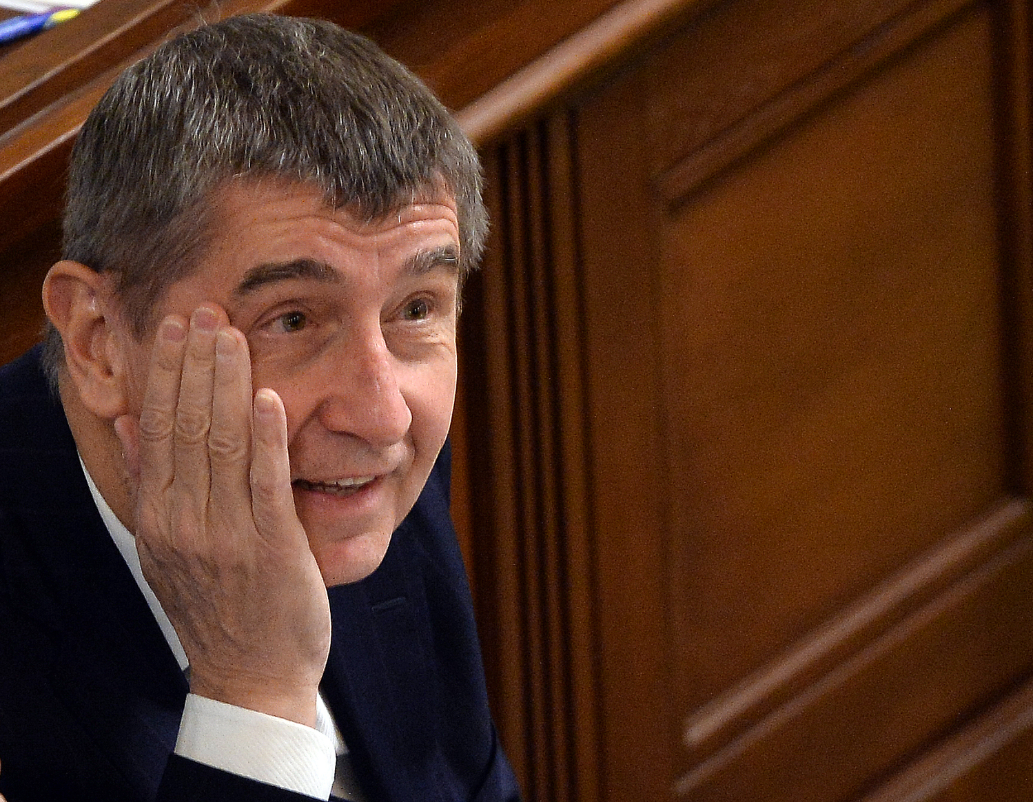 Andrej Babiš.
