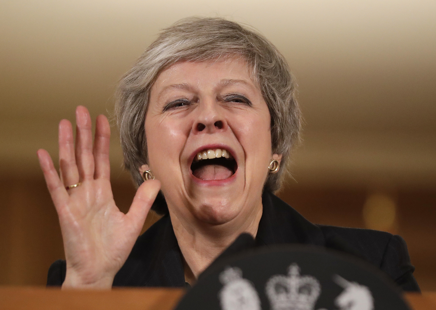 Theresa Mayová. Theresa Mayová.