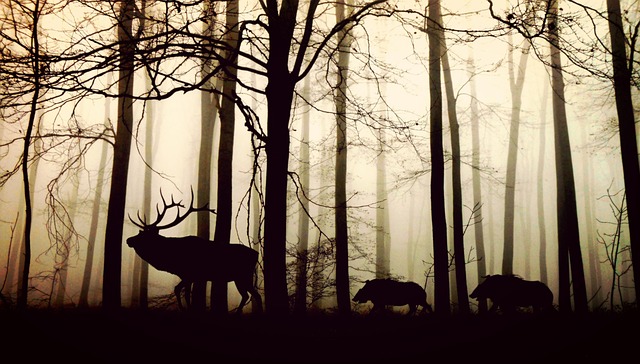 Ilustrační foto.