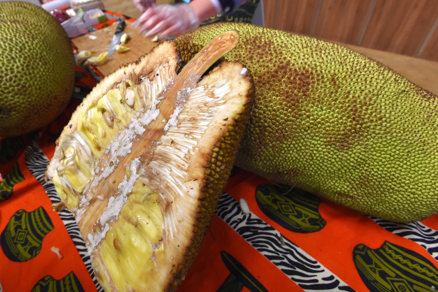 Žakie (jackfruit).