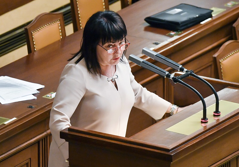 Ministryně financí Alena Schillerová (za ANO) navrhla schodek 40 miliard korun. Ministryně financí Alena Schillerová (za ANO) navrhla schodek 40 miliard korun.