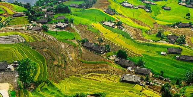 Podvodníci z Česka, Ruska a Jižní Koreje se skrývali na Bali. Podvodníci z Česka, Ruska a Jižní Koreje se skrývali na Bali.