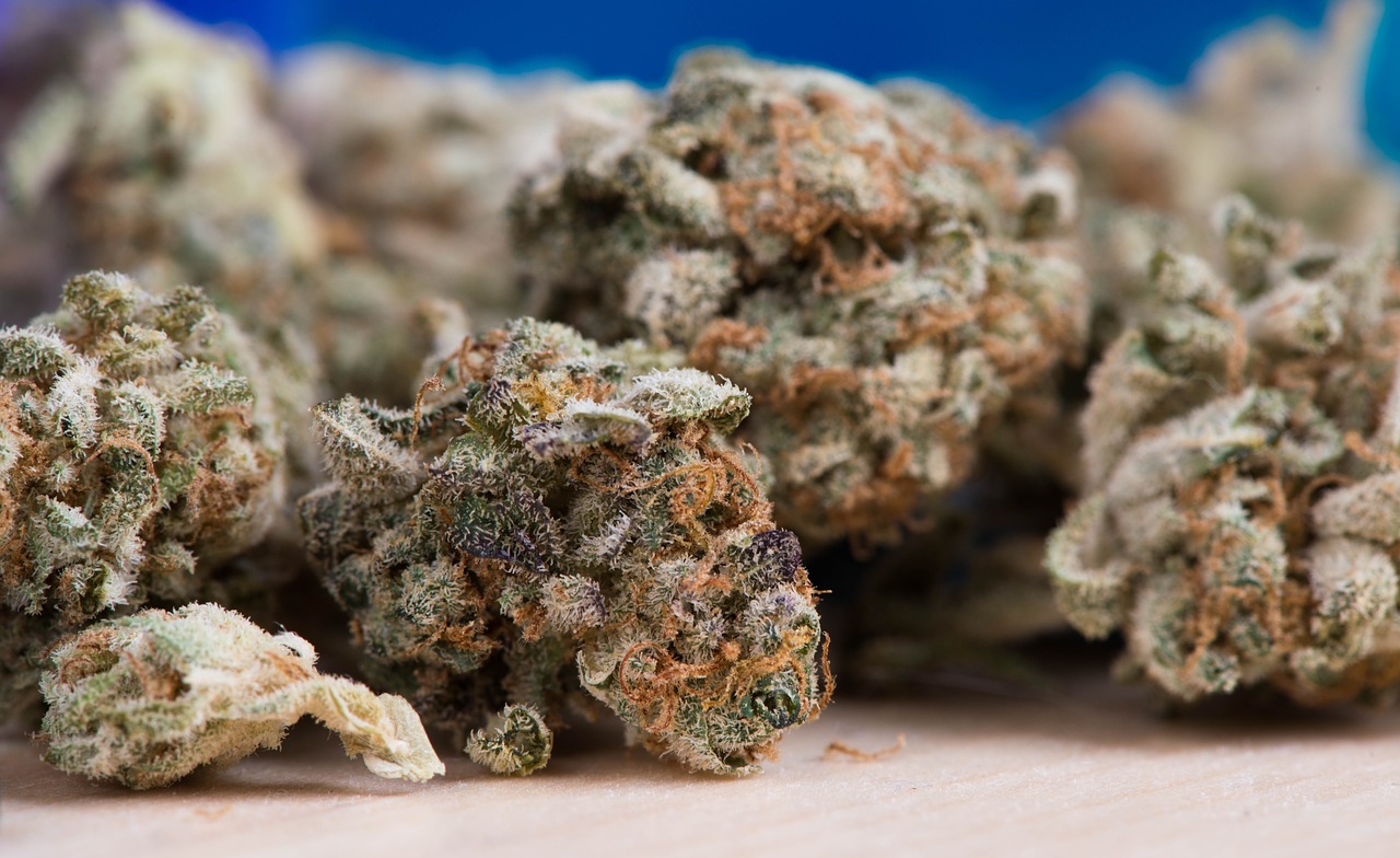 Marihuana (ilustrační foto). Marihuana (ilustrační foto).