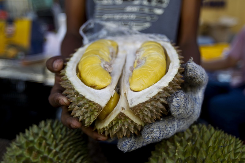 Durian cibetkový (ilustrační foto).