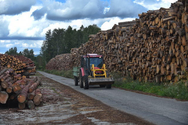 NP Šumava.