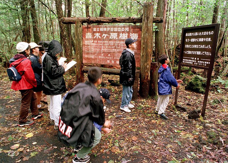 Japonský les Aokigahara patří mez vyhledávaná místa sebevrahů.