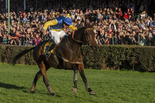 Letošní Velkou pardubickou steeplechase vyhrál při své premiéře sedmiletý hnědák Tzigane Du Berlais v sedle s žokejem Janem Faltejskem, který ve slavném dostihu zvítězil už popáté. Foto: ČTK/Taneček David.
