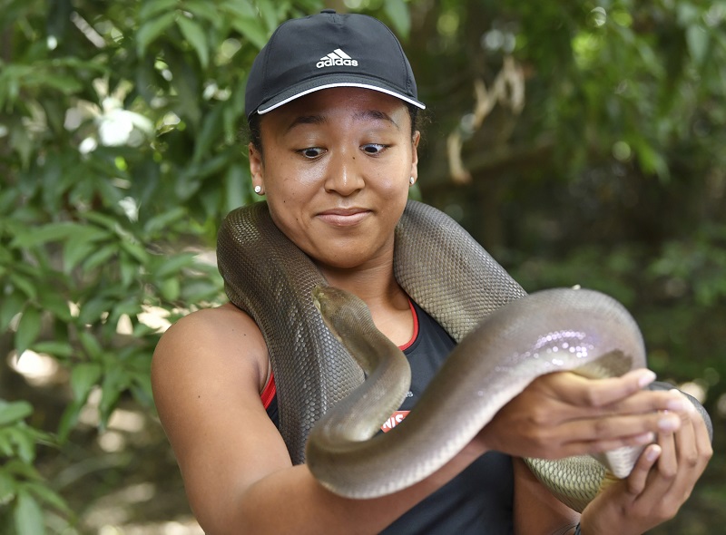 Japonská tenistka Naomi Ósakaová (foto z australské zoo).