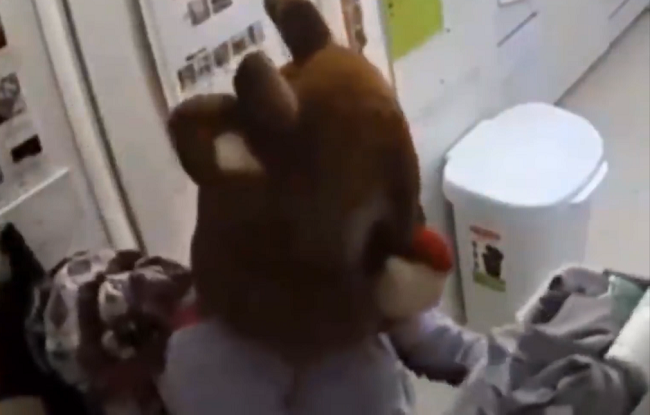Roztomilý koloušek Santy Clause o Vánocích kradl.