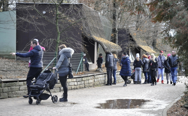 Brněnská zoo.