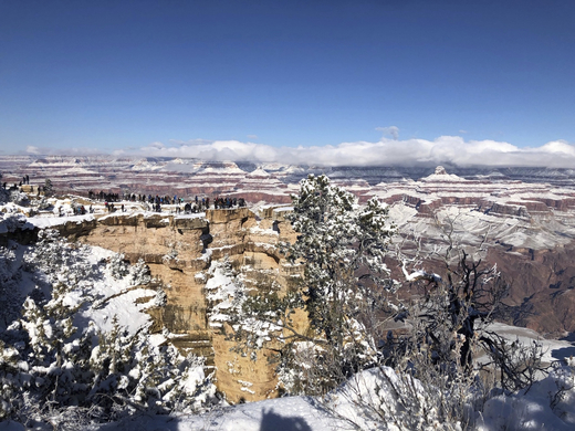 V Arizoně či Nevadě pokryla kaktusy bílá pokrývka.