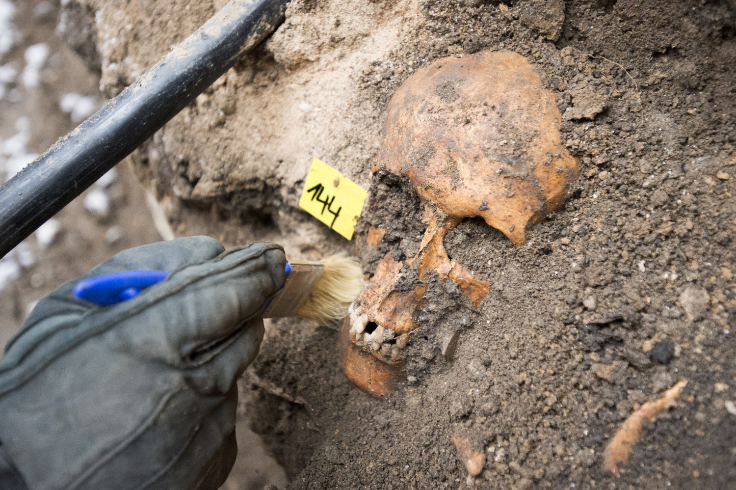 Je možné, že archeologové narazí ještě na starší středověké vykopávky, které by mohly předcházet i založení samotného královského města Kolína.