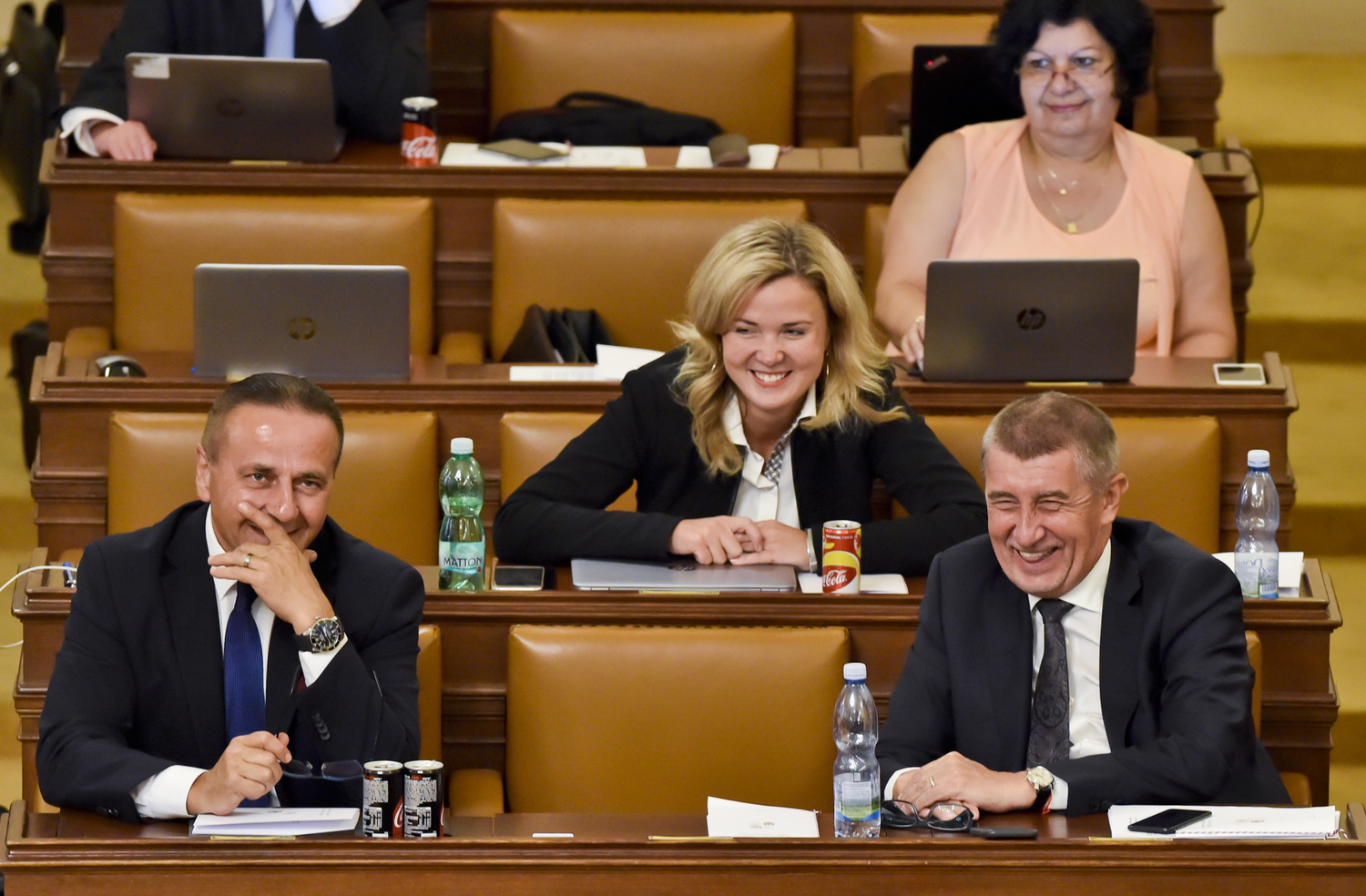 Premiér vlády Andrej Babiš (vpravo dole) a další členové Poslanecké sněmovny.