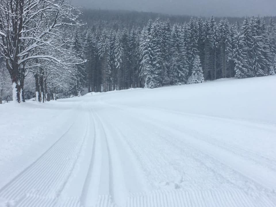 Všechny běžecké trasy na Železnorudsku se budou upravovat.