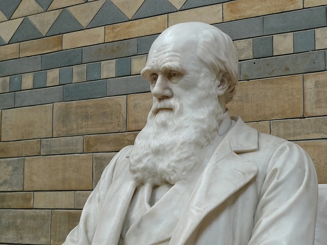 Charles Darwin.