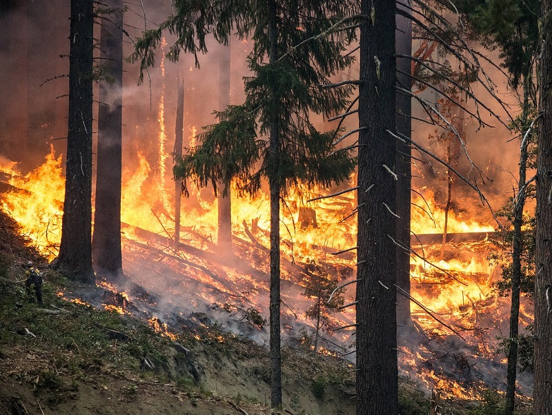 Ilustrační foto.