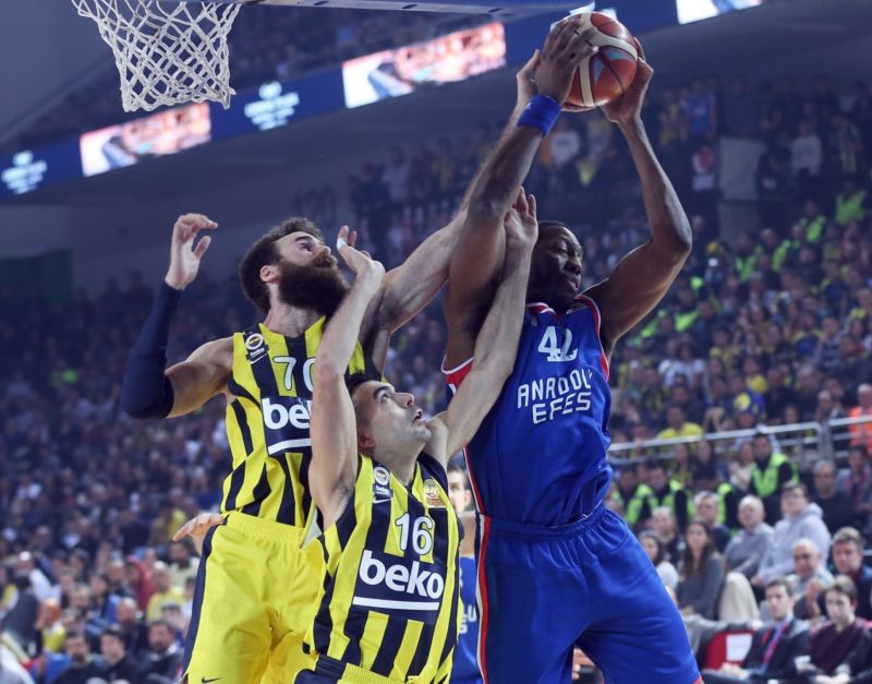 Veselý se rychle uzdravil a pomohl Fenerbahce k další výhře