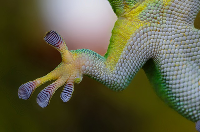 Ilustrační foto. Ilustrační foto.