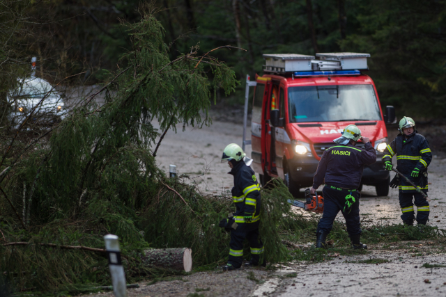 Jihočeští hasiči odklízeli 10. března 2019 popadané stromy ze silnice poblíž Volar.