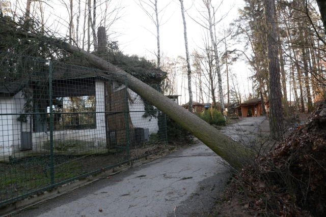Zablokovaná ubikace kočkodanů.