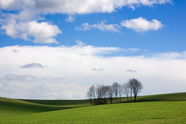 Ilustrační foto.