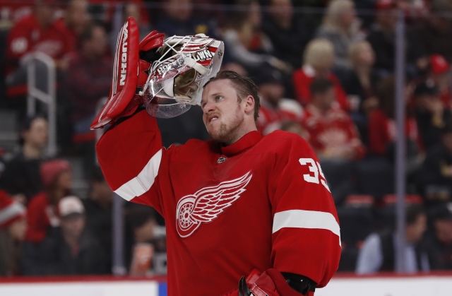 Brankář Red Wings Jimmy Howard.