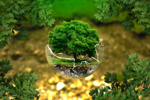 Ilustrační foto.