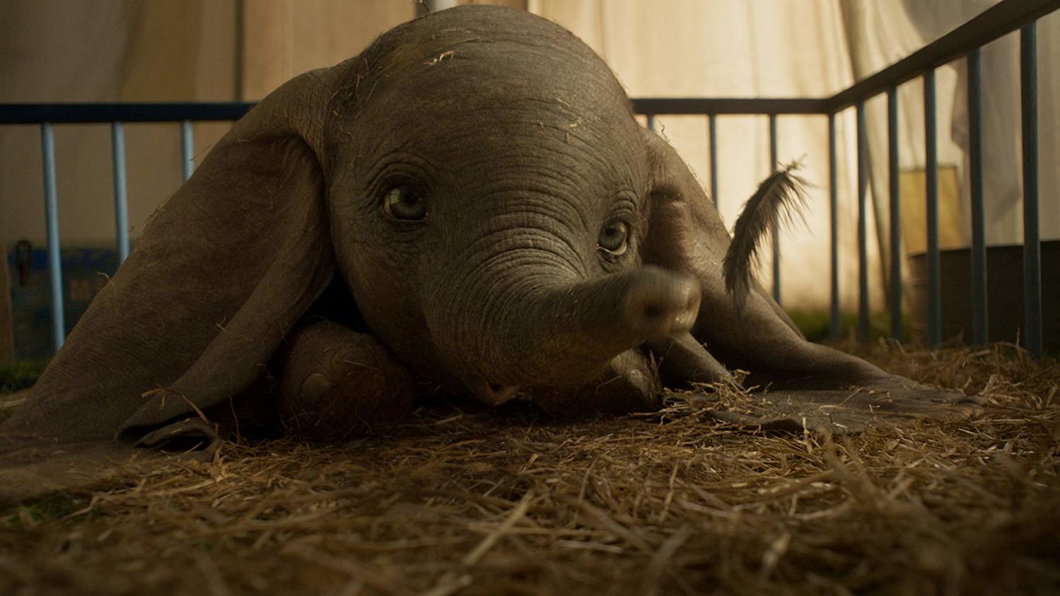 Dumbo v hrané verzi nového filmu Tima Burtona.