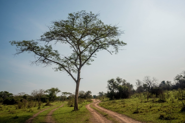 Uganda.