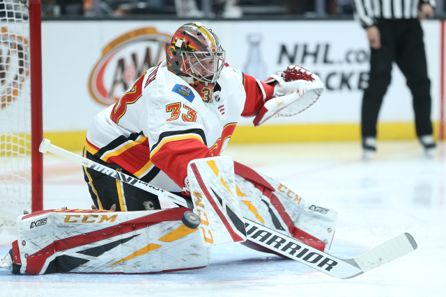 Gólman David Rittich. 