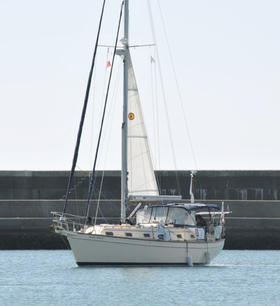 Plachetnice Iwamota.
